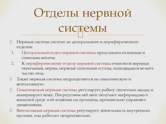 Нервная система состоит из центрального и периферического отделов: Центральный отдел нервной системы