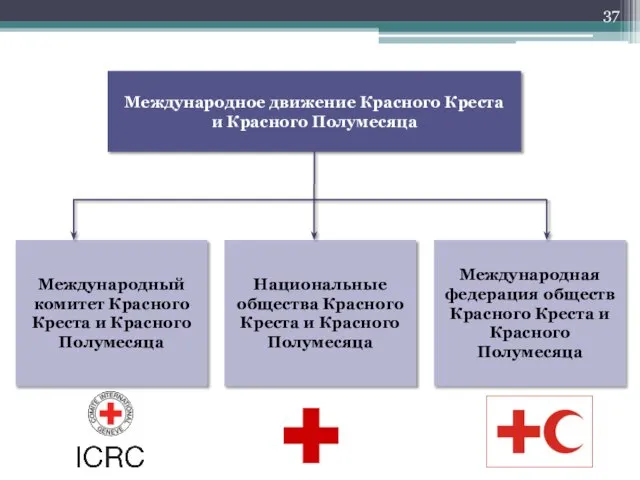 Международное движение Красного Креста и Красного Полумесяца Международный комитет Красного Креста и