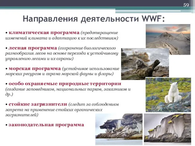 Направления деятельности WWF: • климатическая программа (предотвращение изменений климата и адаптацию к