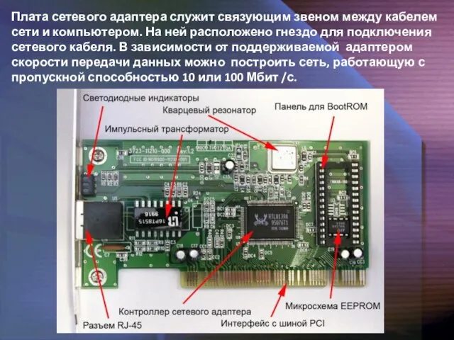 Плата сетевого адаптера служит связующим звеном между кабелем сети и компьютером. На