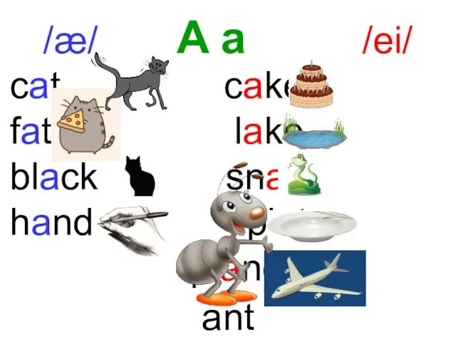 /æ/ A a /ei/ ant cat cake fat lake black snake hand plate plane