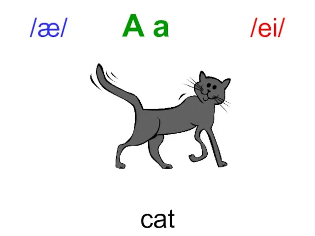 /æ/ A a /ei/ cat