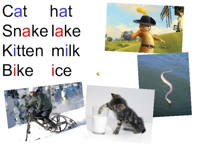 Cat hat Snake lake Kitten milk Bike ice