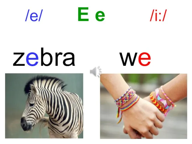 /e/ E e /i:/ zebra we