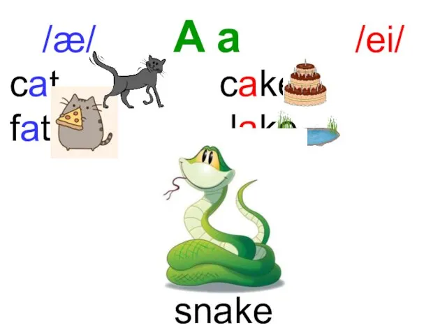 /æ/ A a /ei/ snake cat cake fat lake