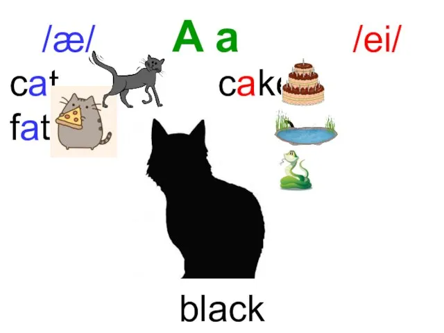 /æ/ A a /ei/ black cat cake fat lake snake