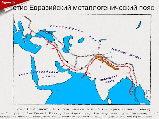 Тетис Евразийский металлогенический пояс