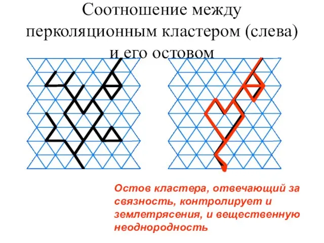 Соотношение между перколяционным кластером (слева) и его остовом Остов кластера, отвечающий за