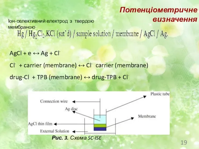 Потенціометричне визначення Іон-селективний електрод з твердою мембраною AgCl + e ↔ Ag