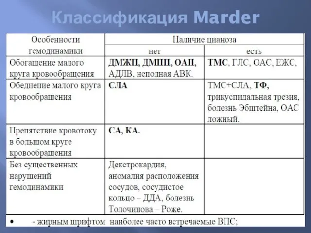 Классификация Marder