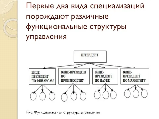 Первые два вида специализаций порождают различные функциональные структуры управления Рис. Функциональная структура управления