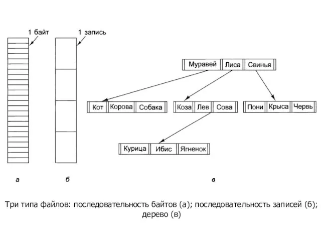 Три типа файлов: последовательность байтов (а); последовательность записей (б); дерево (в)