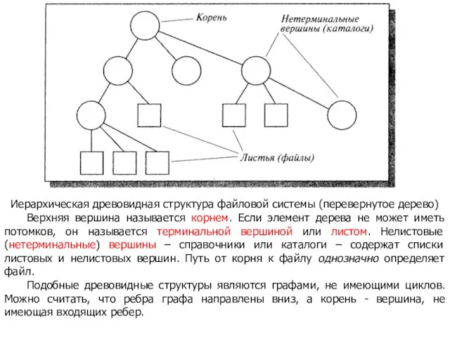 Иерархическая древовидная структура файловой системы (перевернутое дерево) Верхняя вершина называется корнем. Если