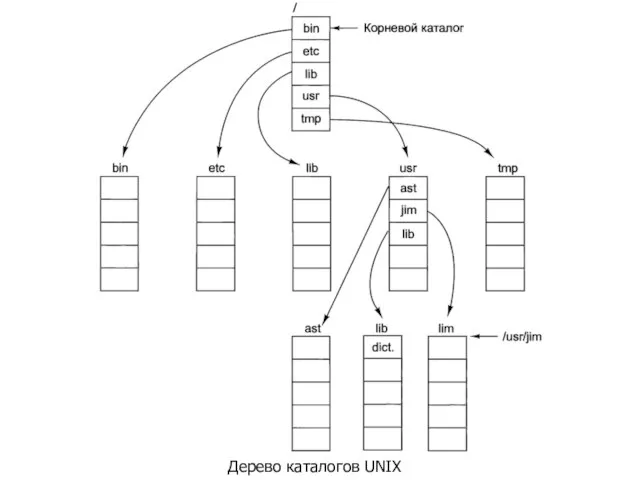 Дерево каталогов UNIX