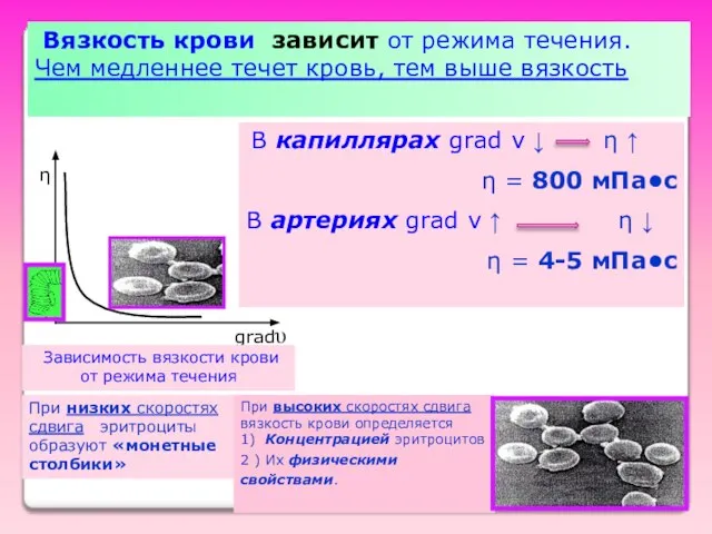 Вязкость крови зависит от режима течения. Чем медленнее течет кровь, тем выше