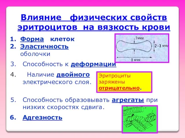 Влияние физических свойств эритроцитов на вязкость крови Форма клеток Эластичность оболочки Способность