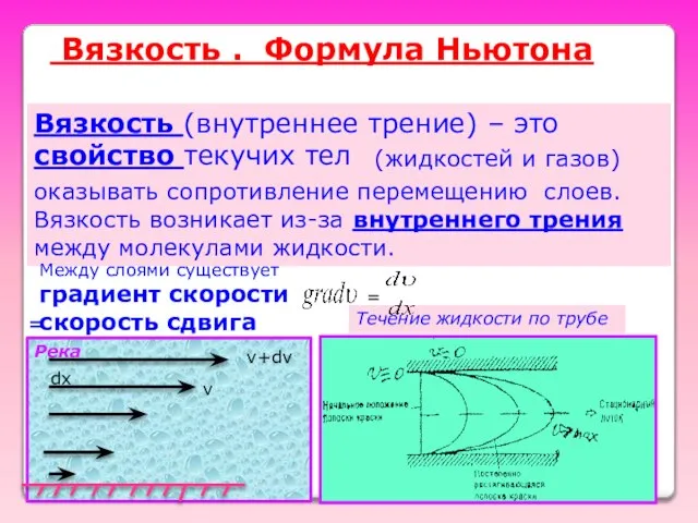 Вязкость . Формула Ньютона Вязкость (внутреннее трение) – это свойство текучих тел