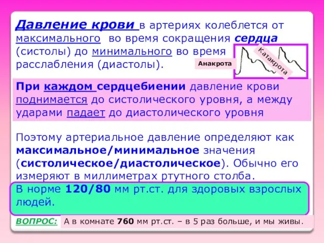 Давление крови в артериях колеблется от максимального во время сокращения сердца (систолы)