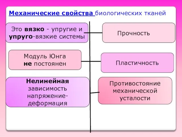 Механические свойства биологических тканей Это вязко - упругие и упруго-вязкие системы Прочность