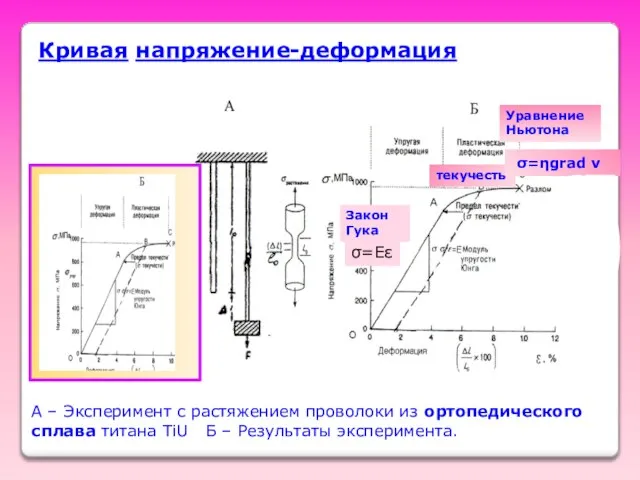 Кривая напряжение-деформация Кривая напряжение-деформация A – Эксперимент с растяжением проволоки из ортопедического