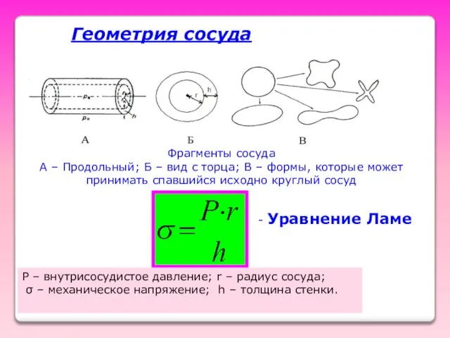 Геометрия сосуда Фрагменты сосуда А – Продольный; Б – вид с торца;