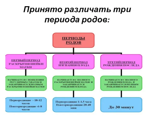 Принято различать три периода родов: