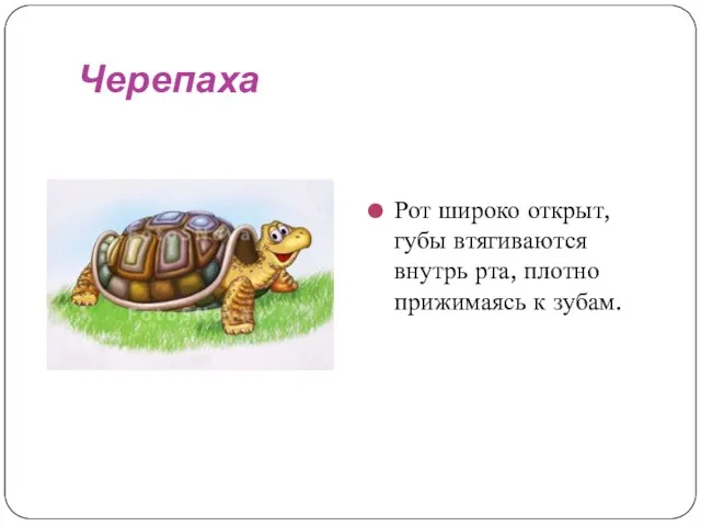 Черепаха Рот широко открыт, губы втягиваются внутрь рта, плотно прижимаясь к зубам.