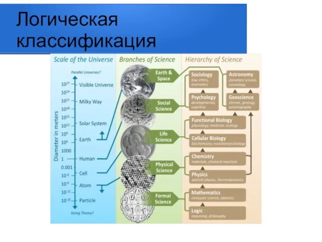 Логическая классификация