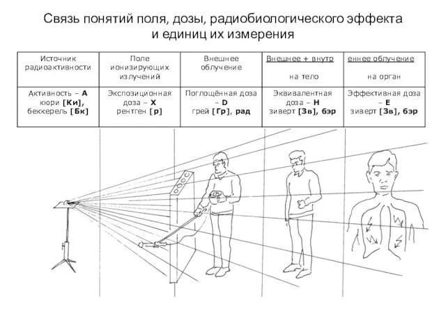 Связь понятий поля, дозы, радиобиологического эффекта и единиц их измерения