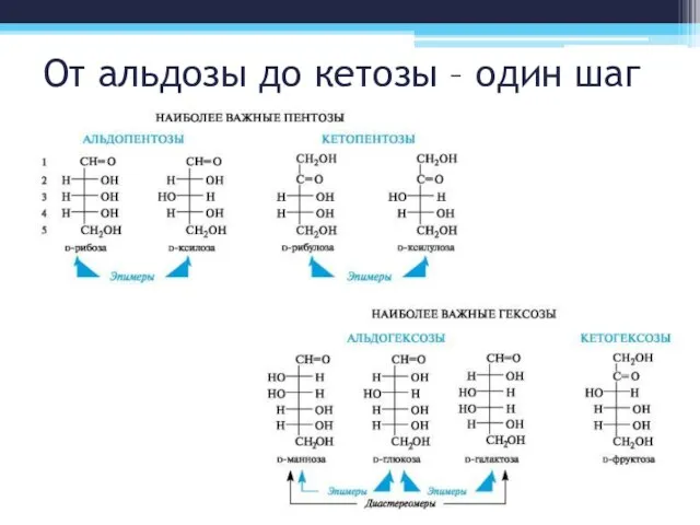 От альдозы до кетозы – один шаг