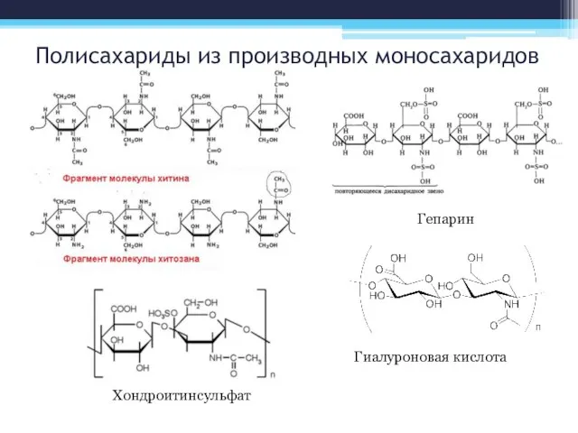 Полисахариды из производных моносахаридов Гепарин Гиалуроновая кислота Хондроитинсульфат