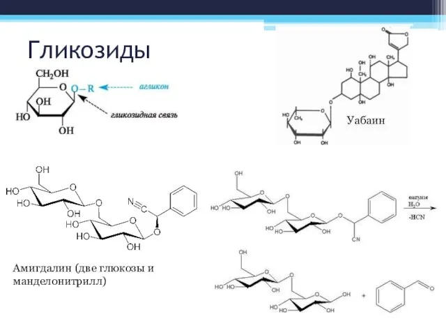 Гликозиды Уабаин Амигдалин (две глюкозы и манделонитрилл)
