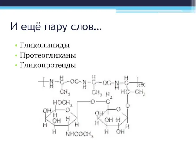 И ещё пару слов… Гликолипиды Протеогликаны Гликопротеиды