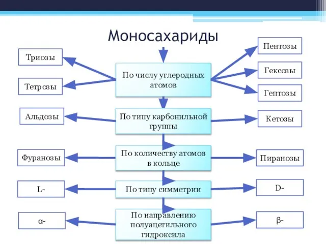 Моносахариды По числу углеродных атомов Триозы Пентозы Тетрозы Гексозы Гептозы По типу