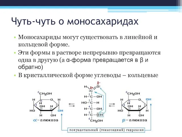 Чуть-чуть о моносахаридах Моносахариды могут существовать в линейной и кольцевой форме. Эти