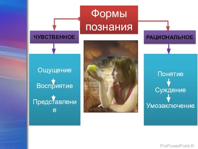 ЧУВСТВЕННОЕ РАЦИОНАЛЬНОЕ Ощущение Восприятие Представление Понятие Суждение Умозаключение Формы познания