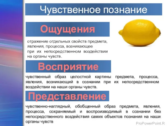 Ощущения отражение отдельных свойств предмета, явления, процесса, возникающее при их непосредственном воздействии