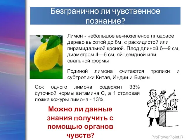 Лимон - небольшое вечнозелёное плодовое дерево высотой до 8м, с раскидистой или