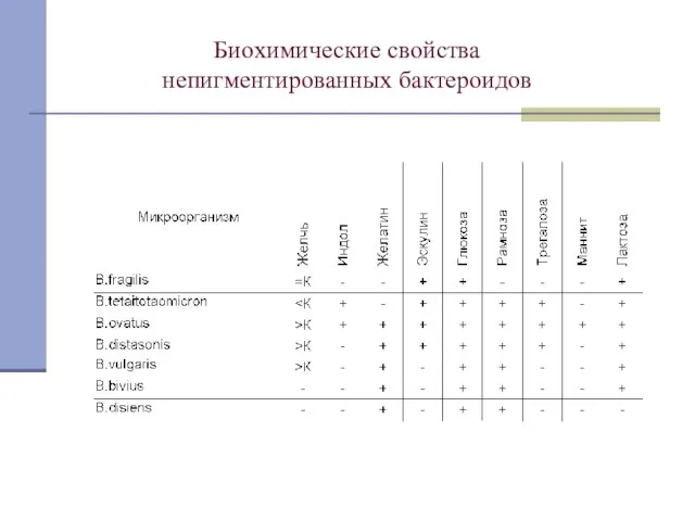 Биохимические свойства непигментированных бактероидов