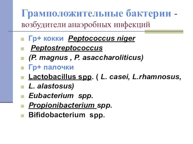 Грамположительные бактерии - возбудители анаэробных инфекций Гр+ кокки Peptococcus niger Peptostreptococcus (P.