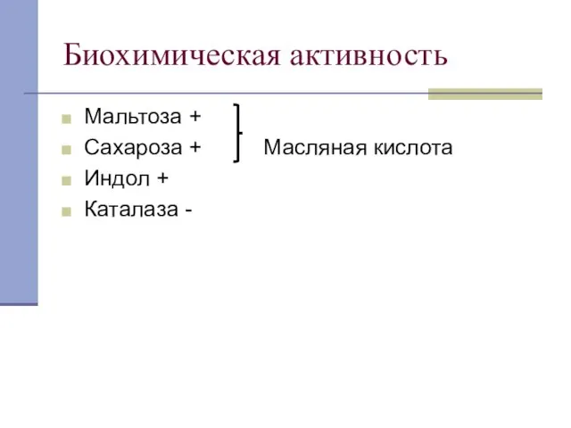 Биохимическая активность Мальтоза + Сахароза + Масляная кислота Индол + Каталаза -