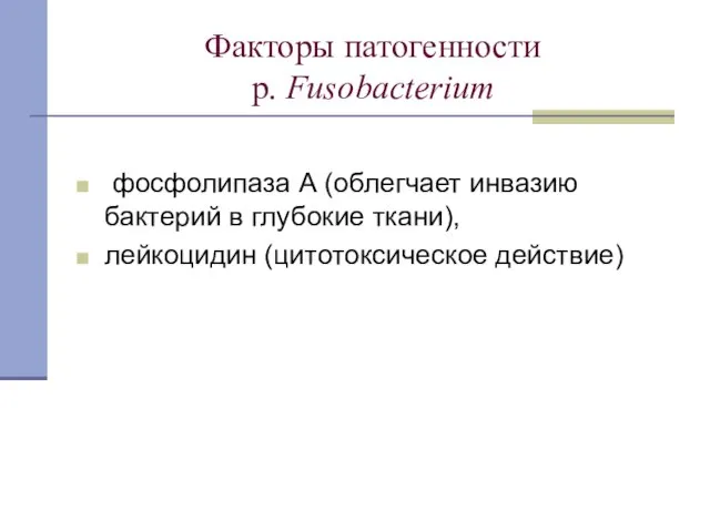 Факторы патогенности p. Fusobacterium фосфолипаза А (облегчает инвазию бактерий в глубокие ткани), лейкоцидин (цитотоксическое действие)