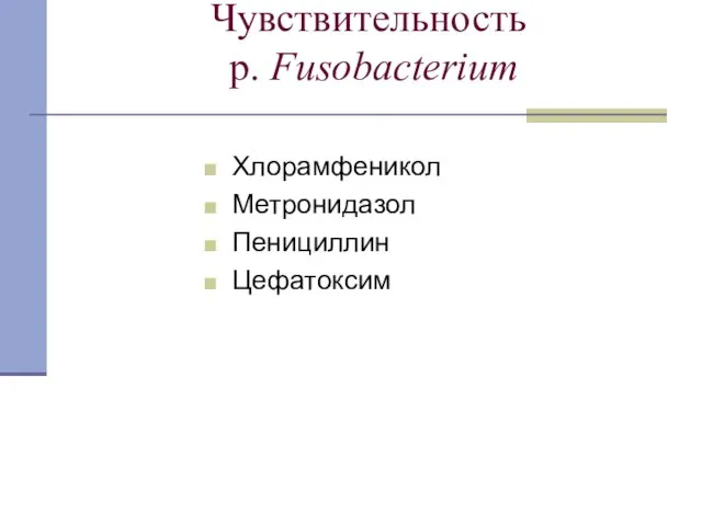 Чувствительность p. Fusobacterium Хлорамфеникол Метронидазол Пенициллин Цефатоксим