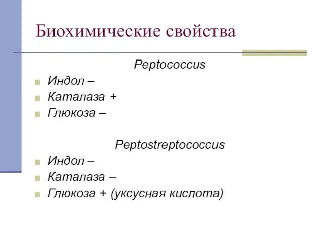 Биохимические свойства Peptococcus Индол – Каталаза + Глюкоза – Peptostreptococcus Индол –