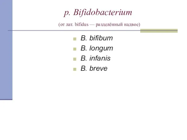 p. Bifidobacterium (от лат. bifidus — разделённый надвое) B. bifibum B. longum B. infanis B. breve