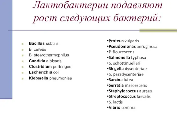 Лактобактерии подавляют рост следующих бактерий: Bacillus subtilis В. cereus В. stearothermophilus Candida