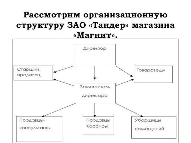 Рассмотрим организационную структуру ЗАО «Тандер» магазина «Магнит».