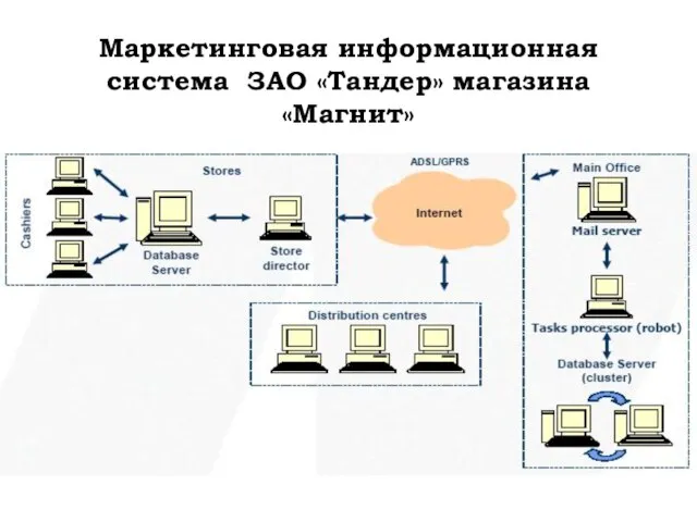 Маркетинговая информационная система ЗАО «Тандер» магазина «Магнит»