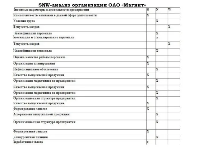 SNW-анализ организации ОАО «Магнит»