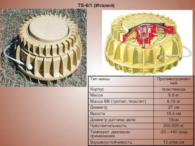 TS-6/1 (Италия)